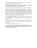 El especialista en Seguridad y Salud en el Trabajo analizó las evidencias documentadas y se propuso a cumplir el objetivo por el cual fue contratado