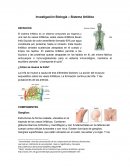 Sistema Linfatico