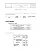 Plantilla de Informe de Avance