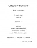 ¿Qué son las Proteínas?Funciones de las proteínas