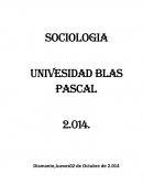 LOS FUNDAMENTOS DE LA CRITICA AL MODELO NATURALISTA DE LA CIENCIA SOCIAL
