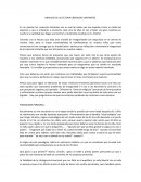 Creencia limitantes y paradigmas