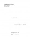 EL futuro del Internet.