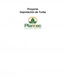 PROYECTO DE TURBAS