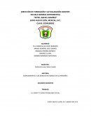 Acercamiento a las cencias naturales en la primaria