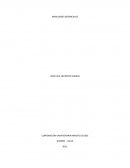 HABILIDADES GERENCIALES Casos