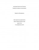 Marco teorico organizacional