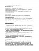 Caso Don Goyon S.A de C.V