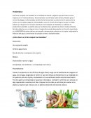 ¿Cómo hacer un té de compost con lixiviados?