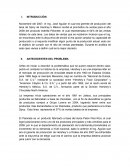 Análisis Caso Herseys