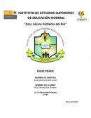 Acoso escolar El concepto de Bullying