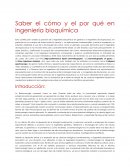 Bioprocesos saber cómo y porque en Ign quimica