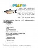 Prueba parcial sexto matematicas