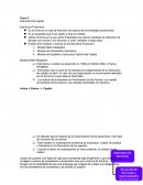 Tema 2 Estructura del capital Estructura Financiera