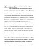 Enfoque múltiple: diferentes enfoques de la organización