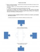 Preguntas Caso Google