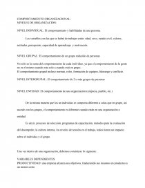 COMPORTAMIENTO ORGANIZACIONAL: NIVELES DE ORGANIZACIÓN. Página 1