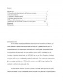 Proyeccion socioeconomica