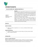 QUE ES LA CROMATOGRAFIA?