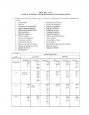 CLASIFICACIÓN DE LAS EMPRESAS SEGÚN SUS OPERACIONES