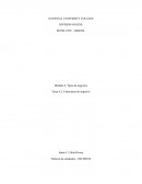 Módulo 6: Tipos de negocios Tarea 6.2: Estructuras de negocios