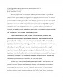 El perfil actual de un gerente de proyectos para administrar el VCD