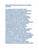 Industria de la carne de res