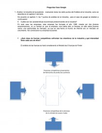 Preguntas Caso Google. Página 1
