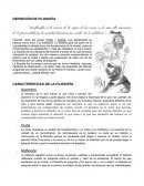 Definición de Filosofía “La filosofía es la ciencia de la razón de las cosas; es la más alta ascensión de la personalidad y la sociedad humana por medio de la sabiduría”