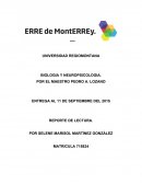 ¿Qué es la neuropsicología? A.R Luria