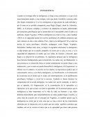 Intelegencia. Cuando se investiga sobre la inteligencia