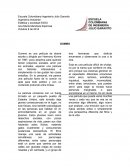 GUMMO es una película de drama escrita y dirigida por Harmony Korine en 1997