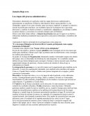 Proceso administrativo en Jamaica Bajo 0