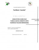 EVALUACION FINANCIERA DE PROYECTOS Tortillería “estrella”