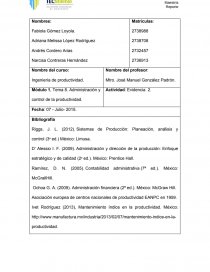 Módulo 1, Tema 8. Administración y control de la productividad.. Página 1