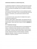 Contaminacion en la ciudad de tingo maria