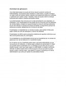 Actividad de aplicacion. El sobrepeso y la obesidad