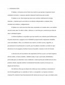 Harina de platano y lucuma