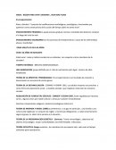 IKIGAI : RAZON PARA VIVIR OKINAWA , VIDA MAS PLENA