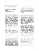 Tics en las Organizaciones
