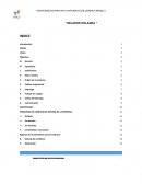 Investigaccion ‘’HELADOS HOLANDA ’’