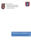 Práctica de Sanidad en la Industria Alimentaria