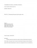 QUIMICA ORGANICA PRÁCTICA 2: Determinación del punto de fusión simple y mixto