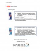 Presupuesto de Marketing Online total