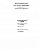 LABORATORIO DETERMINACIÓN DE DENSIDADES