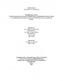 Estrategias de un plan de marketing a inversiones araza para la comercialización de una fruta tropical