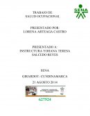 PROGRAMAS DE SALUD OCUPACIONAL