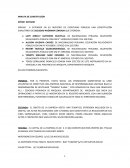 La minuta constitucional