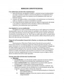 Resumen pereira orozco