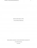 Cuál es el propósito central de las pruebas PISA